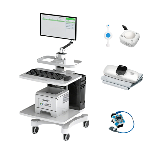 fabricante líder de 6-minute Walk Test