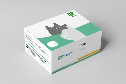 Canine C-reactive Protein (cCRP) Fast Test Kit