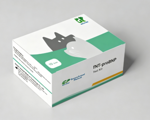 Feline NT-proBNP Fast Test Kit