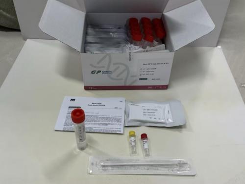 HPV Real-time PCR Kit