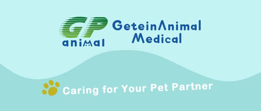 【Getein Animal】Cuidando a tu mascota